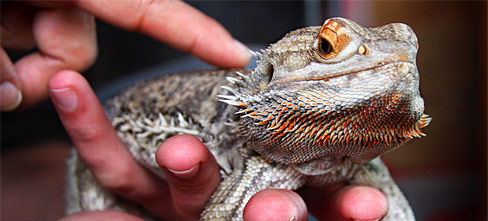 Ferme nature le mujal (can)