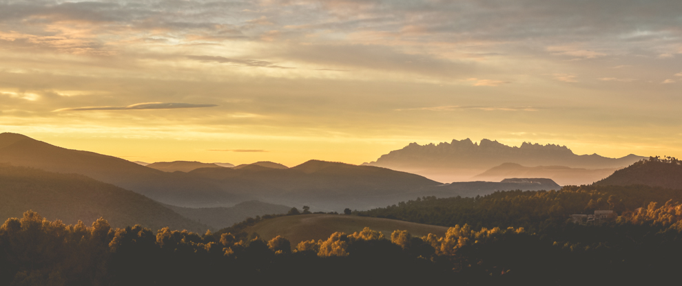 ForÊts et extÉrieurs